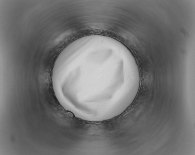 X0000113321110200910131122