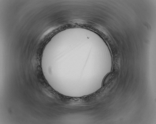 X0000113321112200910131122