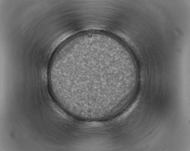 X0000113321113200910131122