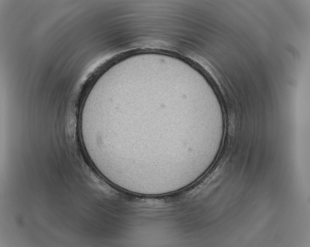 X0000113321115200910131122