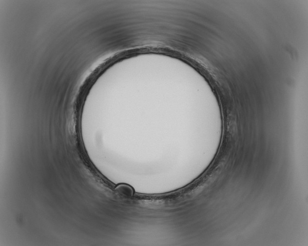 X0000113321118200910131122