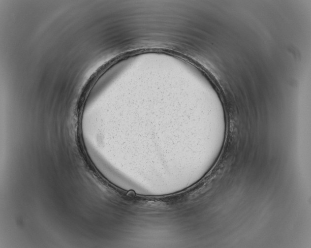 X0000113321119200910131122