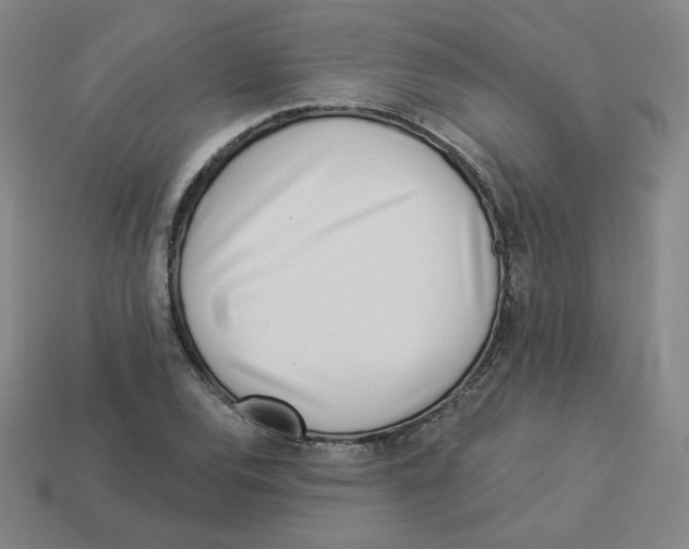 X0000113321120200910131122