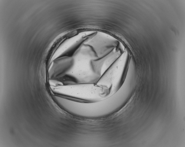 X0000113321123200910131122