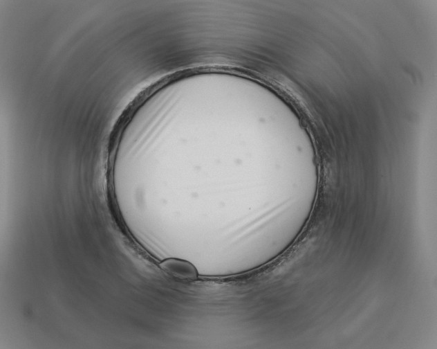 X0000113321124200910131122