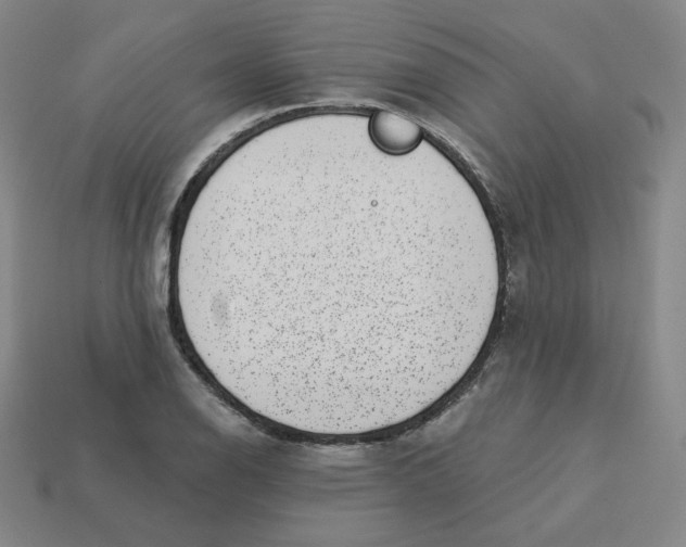 X0000113321126200910131123