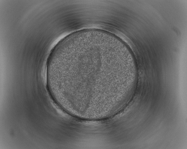 X0000113321127200910131123