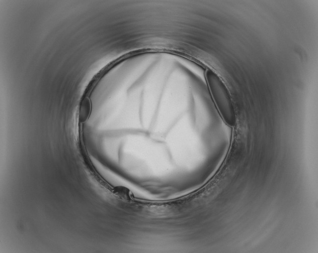 X0000113321128200910131123