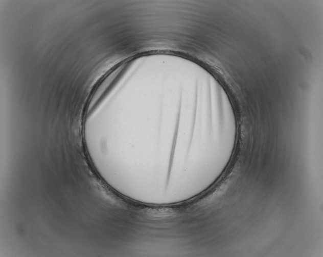 X0000113321129200910131123