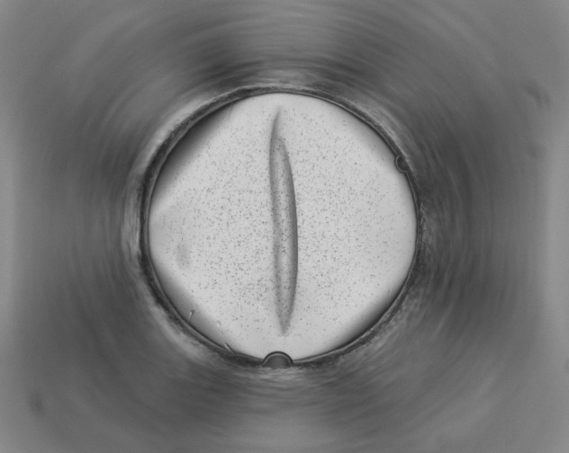 X0000113321131200910131123