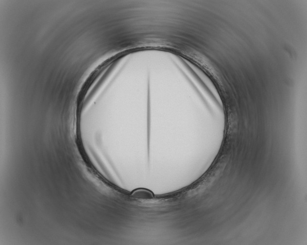 X0000113321132200910131123