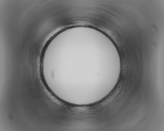 X0000113321134200910131123