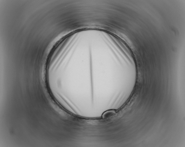 X0000113321136200910131123