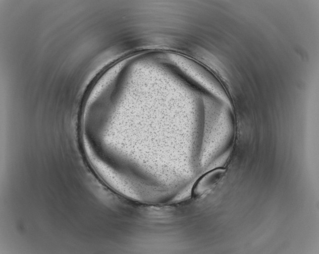 X0000113321138200910131123