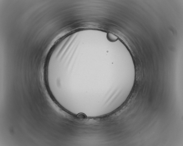 X0000113321139200910131123