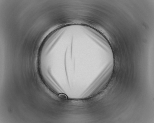 X0000113321142200910131123