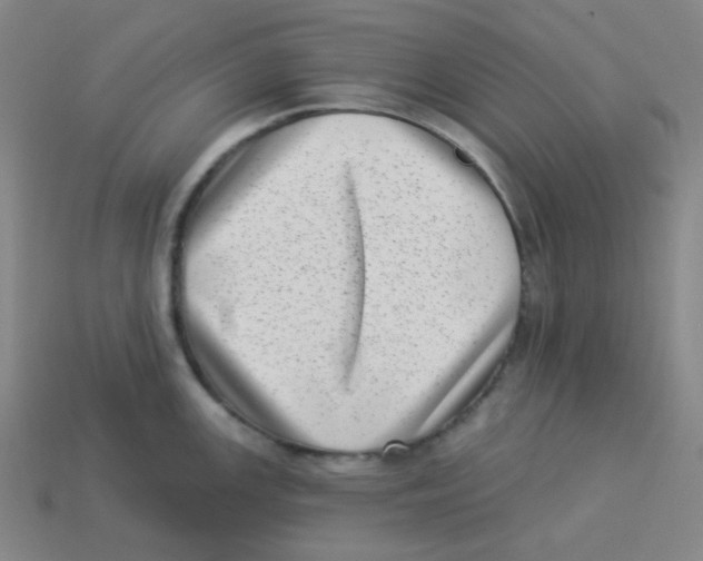 X0000113321147200910131123