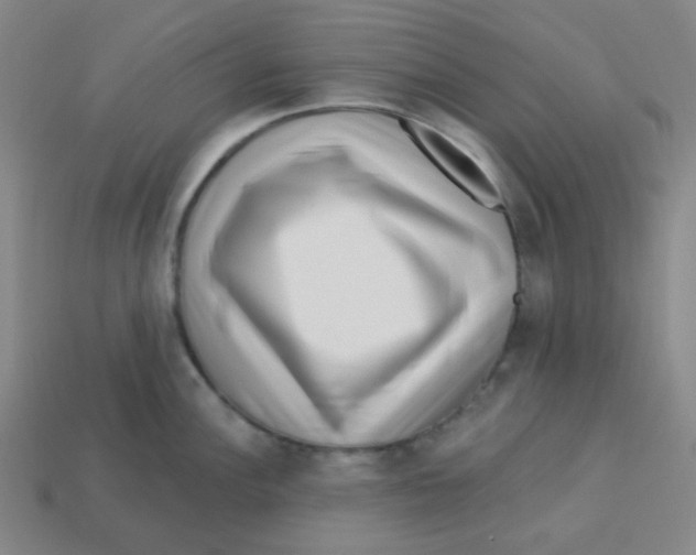 X0000113321148200910131123