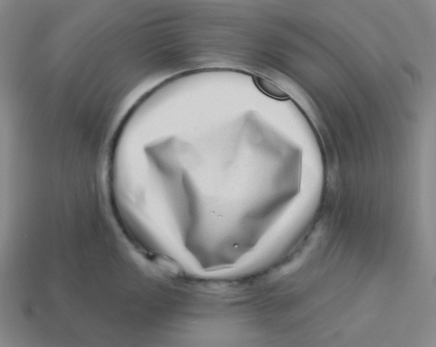 X0000113321149200910131123