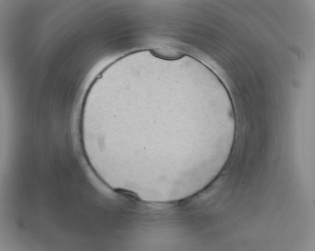 X0000113321152200910131123