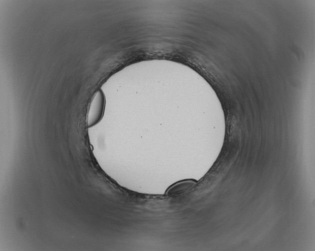 X0000113321153200910131122