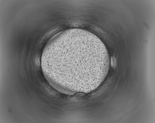 X0000113321155200910131122