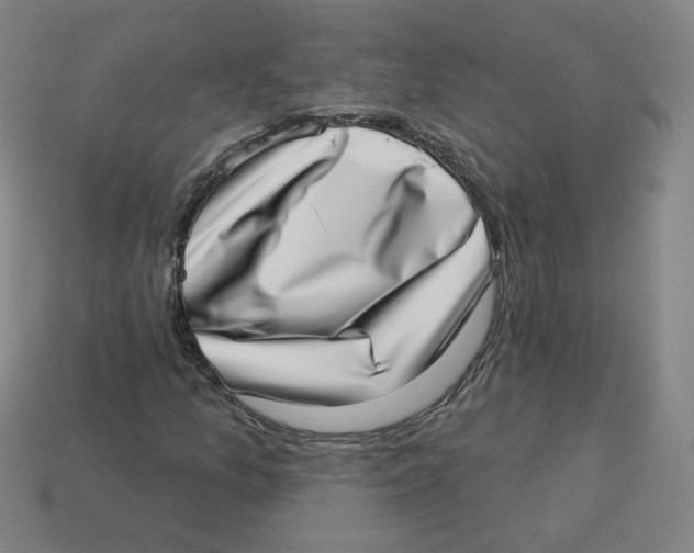 X0000113321157200910131122