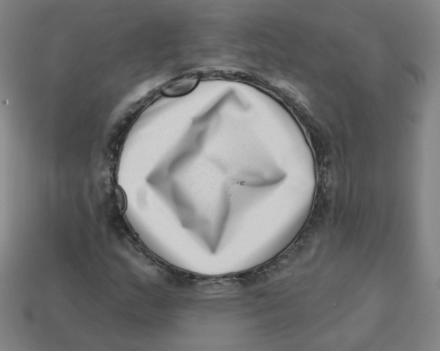 X0000113321159200910131122