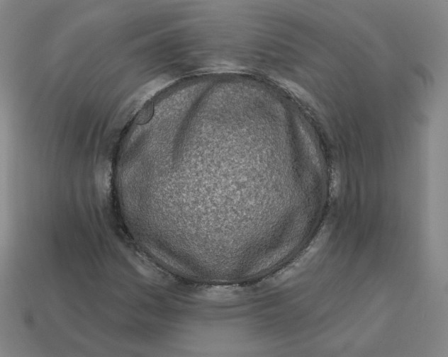 X0000113321161200910131122