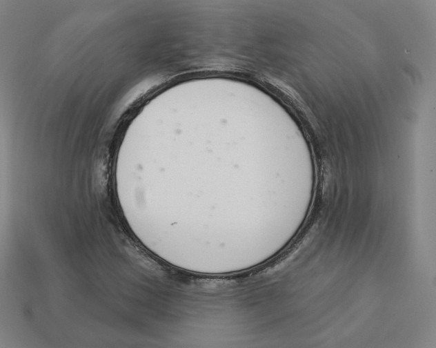 X0000113321163200910131122