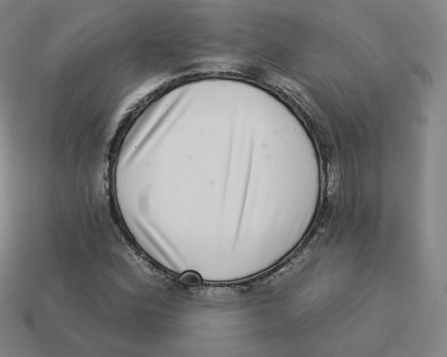 X0000113321164200910131122