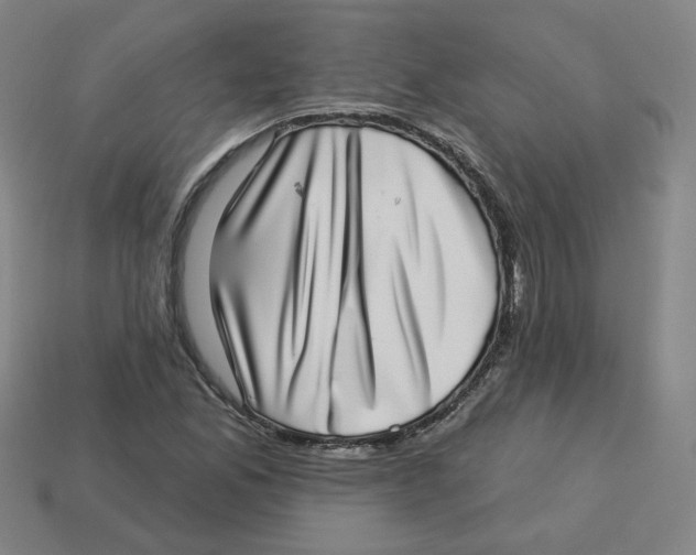 X0000113321165200910131122