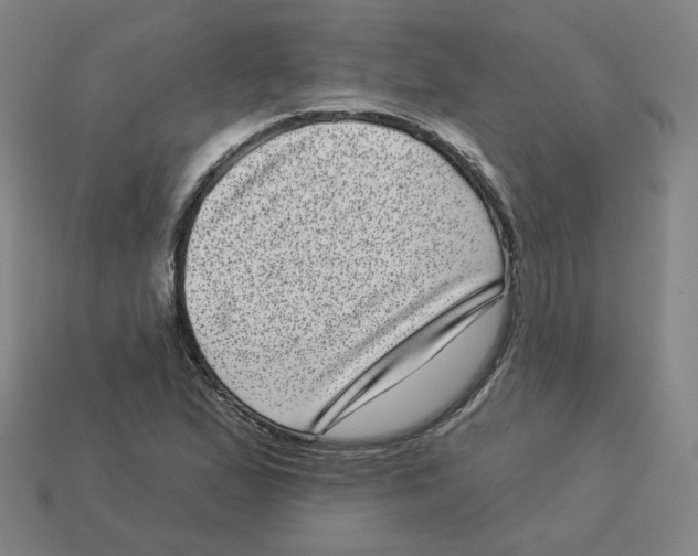 X0000113321167200910131122