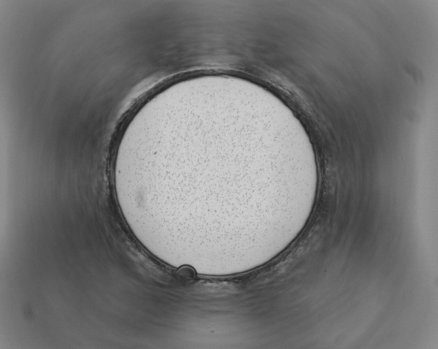 X0000113321168200910131122