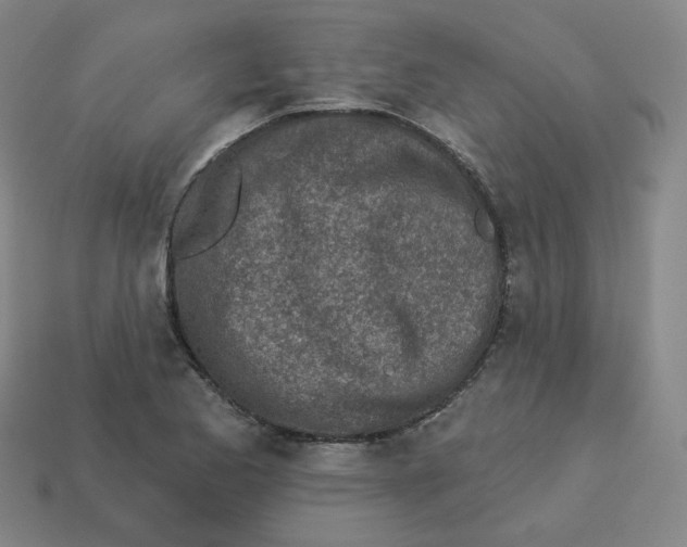 X0000113321173200910131122