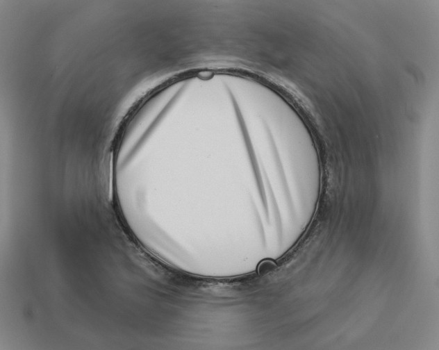 X0000113321175200910131122