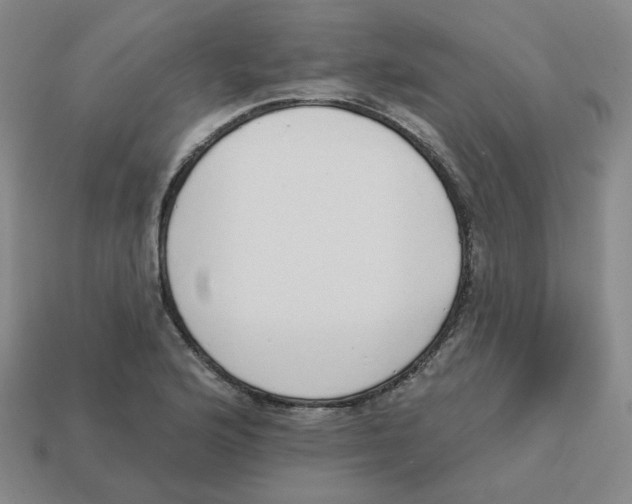 X0000113321176200910131122