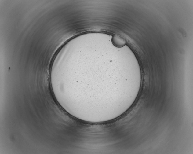 X0000113321178200910131122