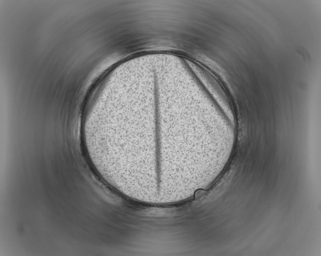 X0000113321179200910131122