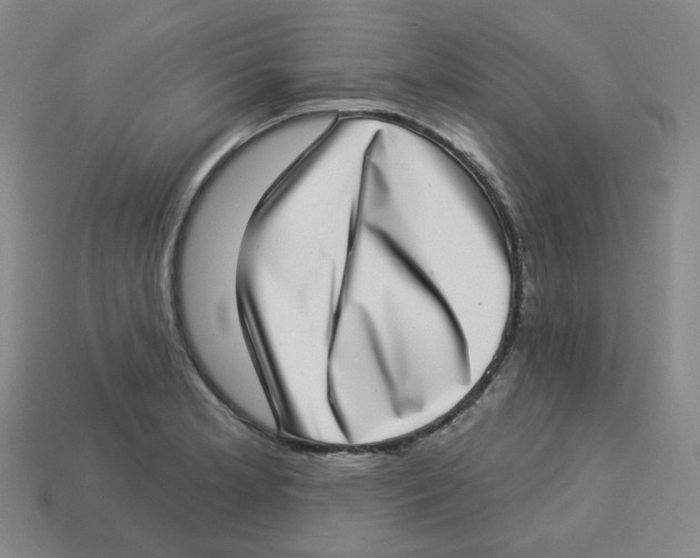 X0000113321181200910131122