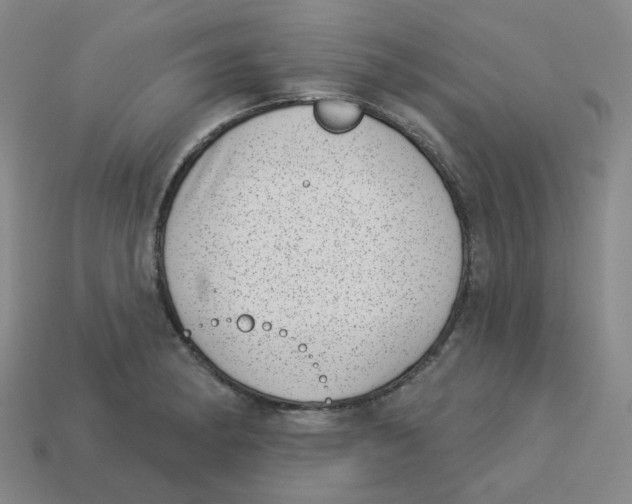 X0000113321182200910131122