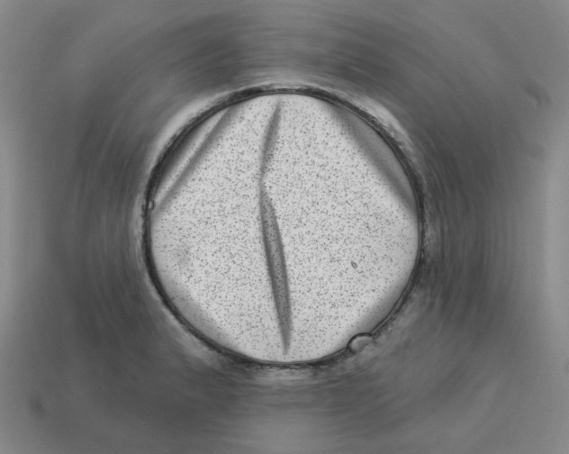 X0000113321183200910131122