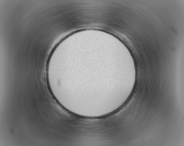 X0000113321184200910131122