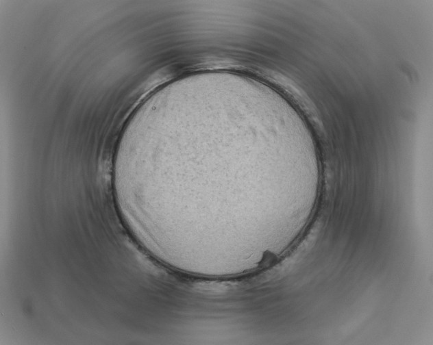 X0000113321185200910131122