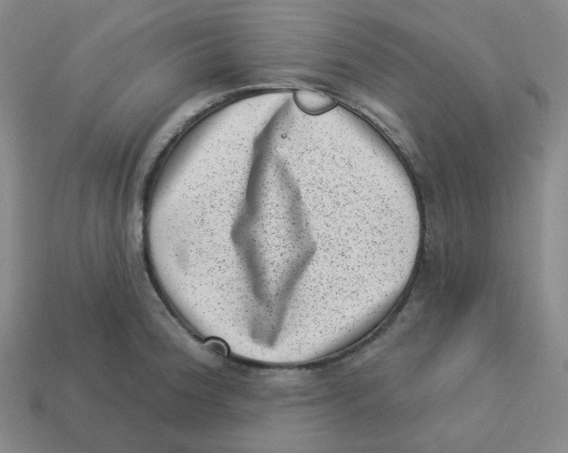 X0000113321188200910131122