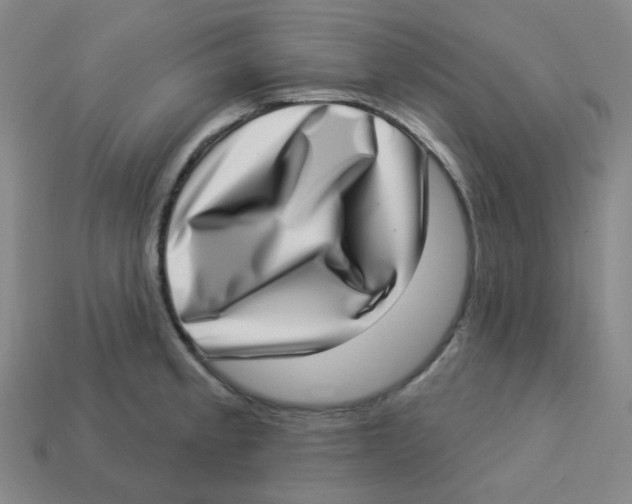 X0000113321189200910131122