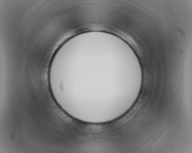 X0000113321190200910131122