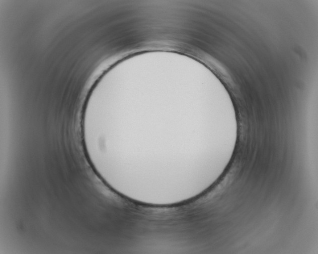 X0000113321192200910131122