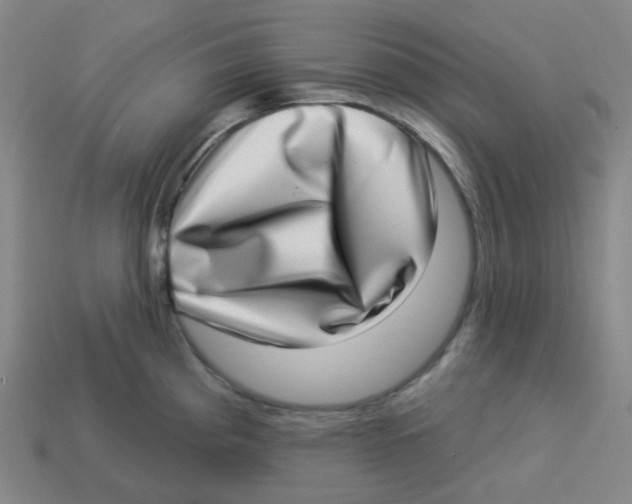 X0000113321193200910131122