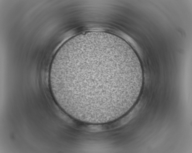 X0000113321194200910131122